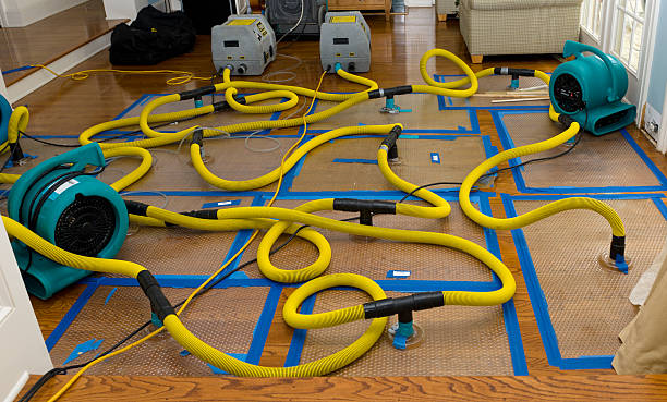 Professional Storm Water Damage Restoration technician working in New Franklin, OH