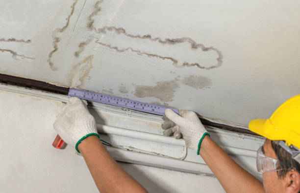 Affordable Water Damage Repair solutions in New Franklin, OH